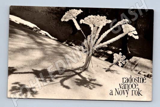 Pohlednice Vánoce a Nový rok zimní motiv 1956 (M25546)