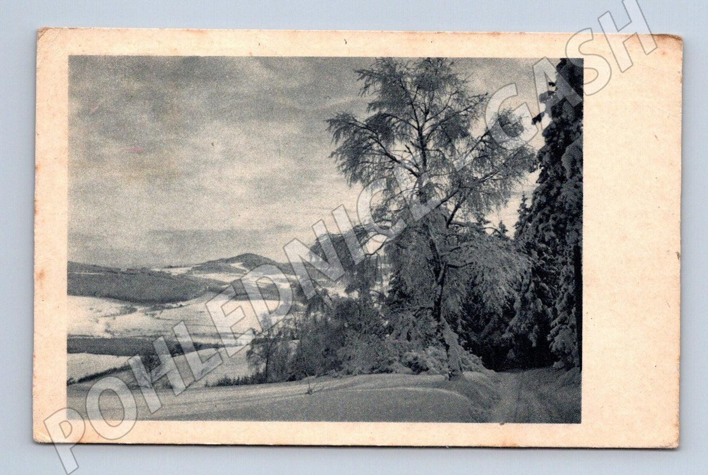 Pohlednice Brno zimní krajina 1946 (M25549)