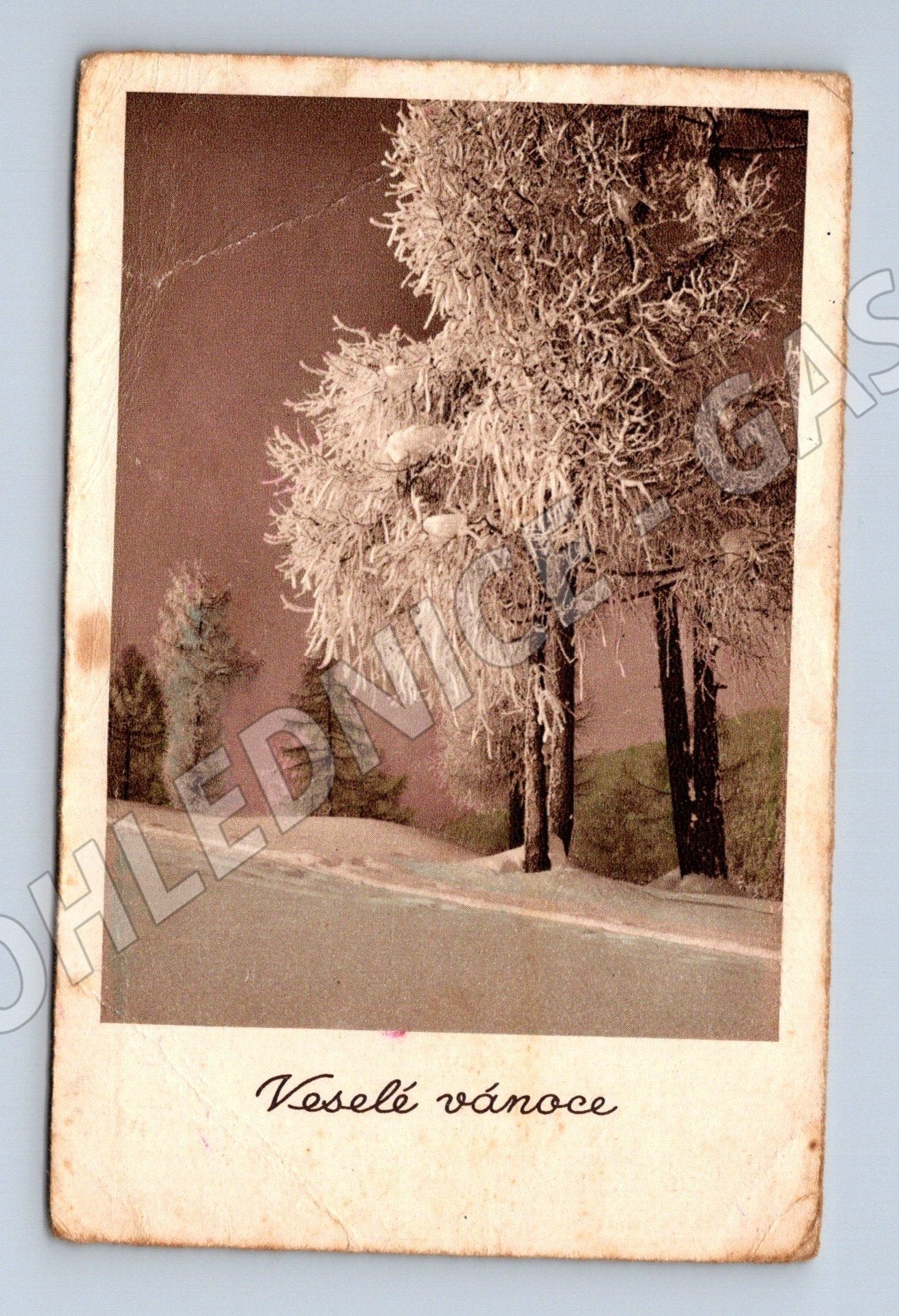 Pohlednice Veselé vánoce stromy námraza 1941 (M25558)