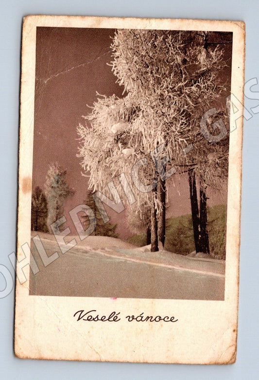 Pohlednice Veselé vánoce stromy námraza 1941 (M25558)