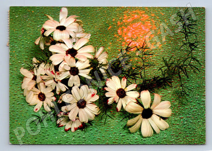 Postcard flower with a wish Czechoslovakia (M2556)