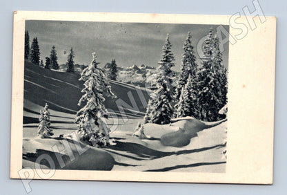 Pohlednice zimní krajina hory 1923 (M25560)