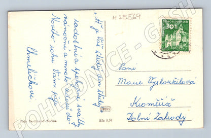 Pohlednice Vánoční strom svíčka 1954 (M25569)