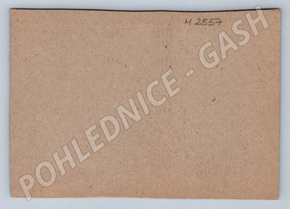 Postcard red water lily flowers (M2557)