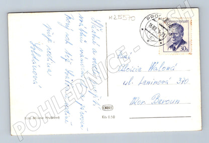 Pohlednice Radostné vánoce kniha ovoce 1937 (M25570)
