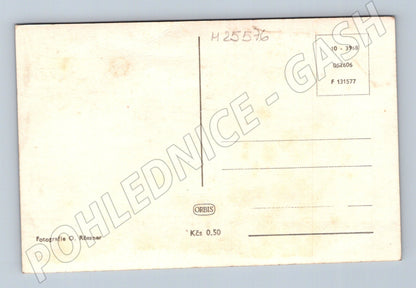 Pohlednice Radostné vánoce zimní motiv (M25576)