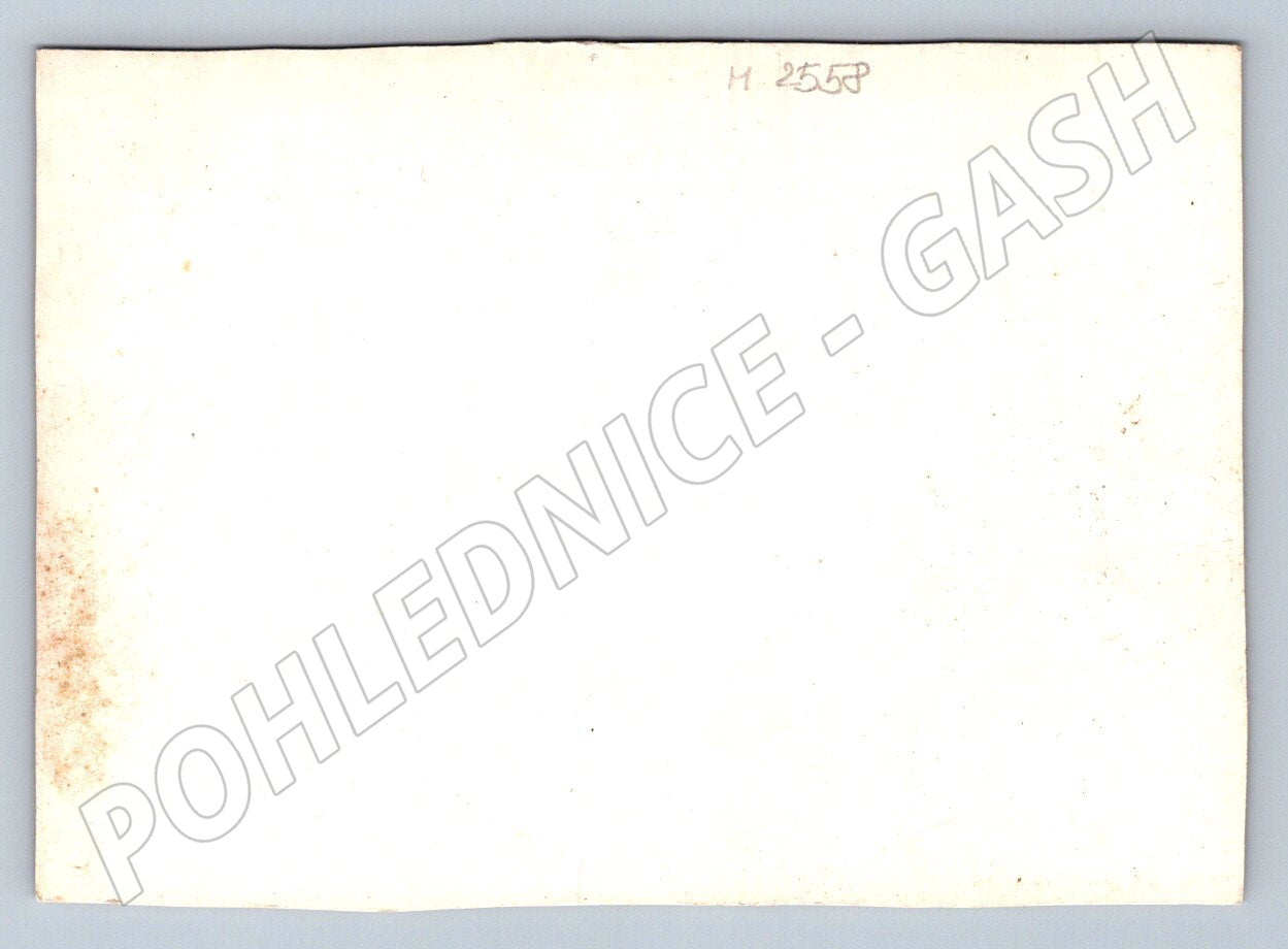 Postcard yellow flowers in a vase painting (M2558)