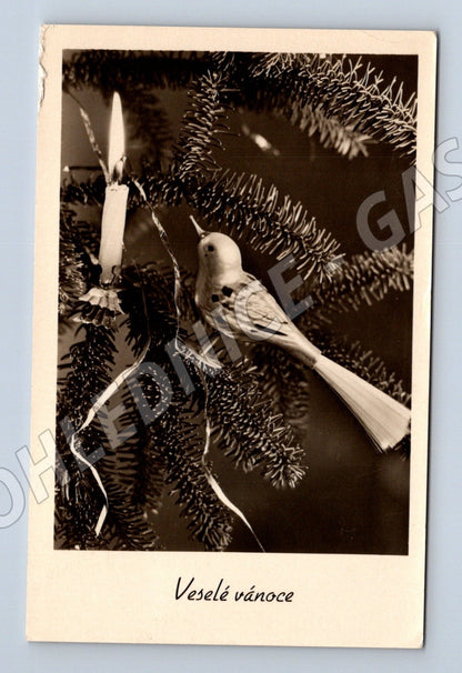 Pohlednice vánoční ptáček na stromečku 1953 (M25587)