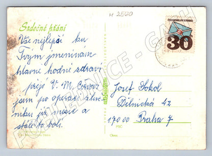 Postcard rose Czechoslovakia greetings (M2560)