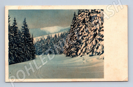 Pohlednice zasněžená krajina stromy 1910 (M25603)