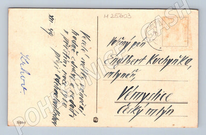 Pohlednice zasněžená krajina stromy 1910 (M25603)