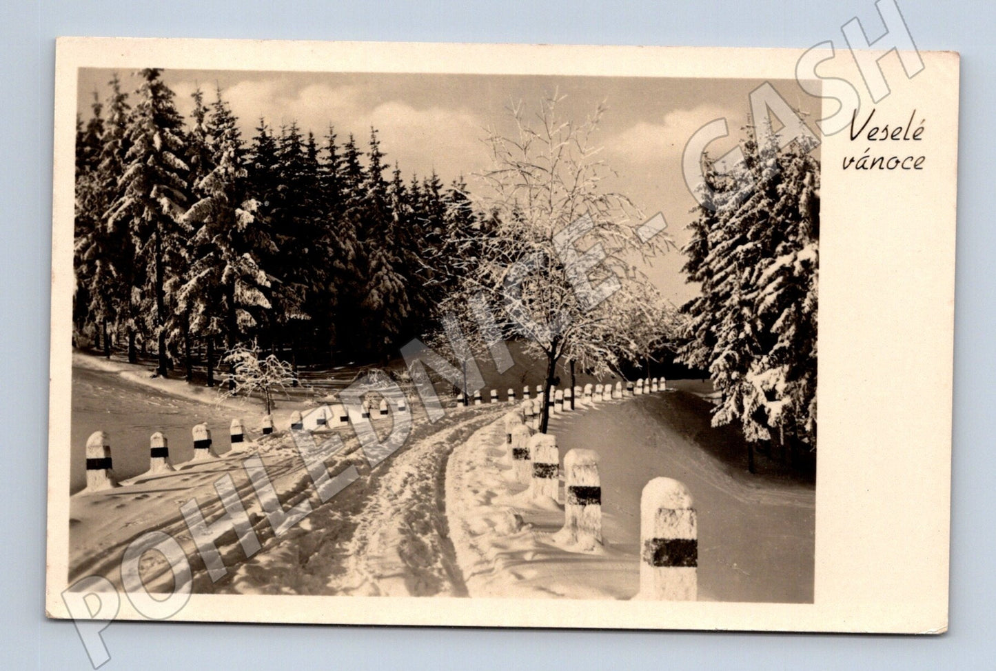 Pohlednice zimní krajina sníh 1950 (M25605)