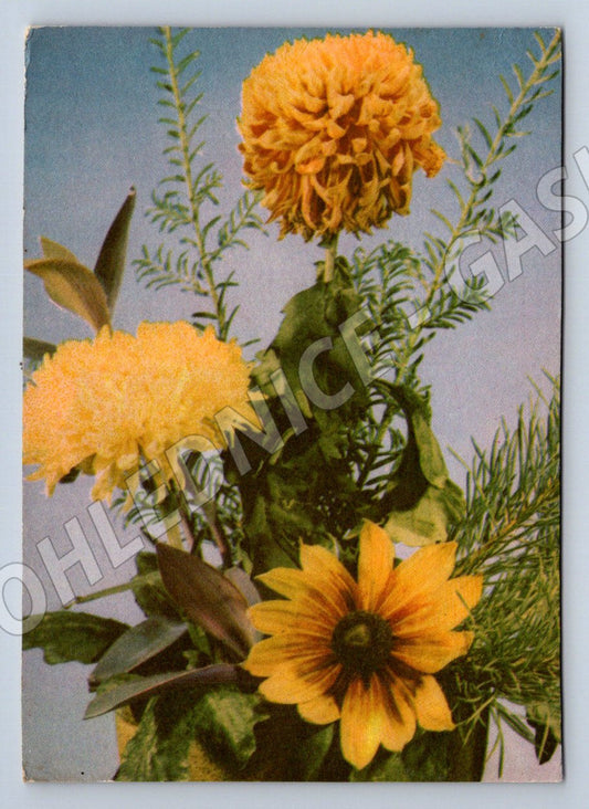 Postcard yellow flowers painting style (M2561)