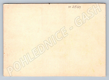 Postcard yellow flowers painting style (M2561)