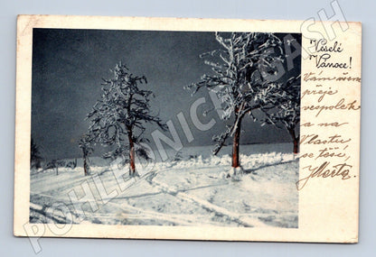 Pohlednice Vánoční zimní krajina 1950 (M25616)