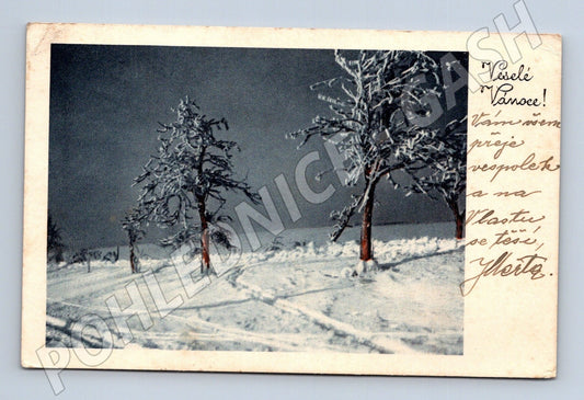 Pohlednice Vánoční zimní krajina 1950 (M25616)