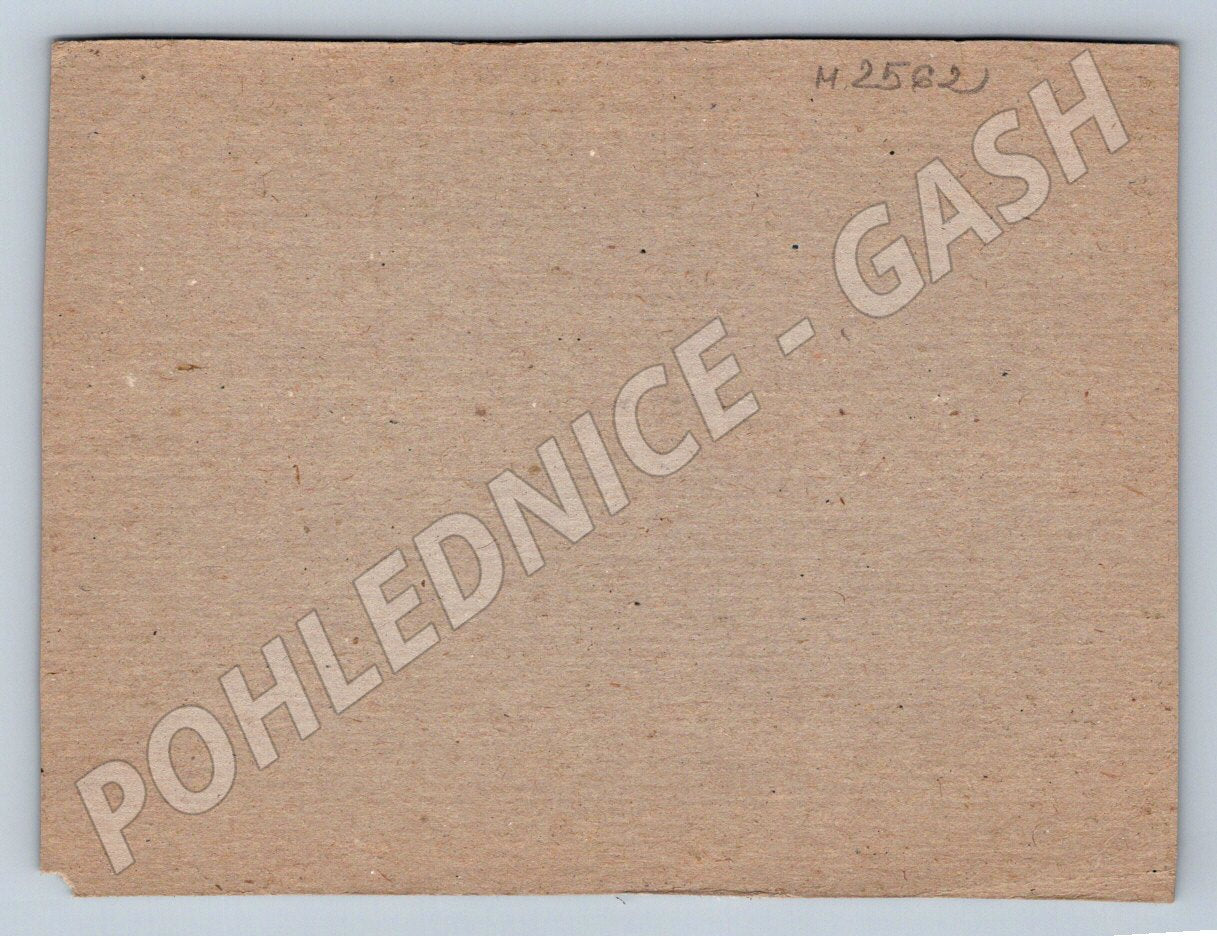 Postcard red flowers nature motif (M2562)