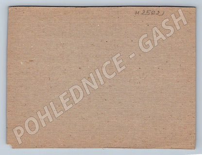 Postcard red flowers nature motif (M2562)