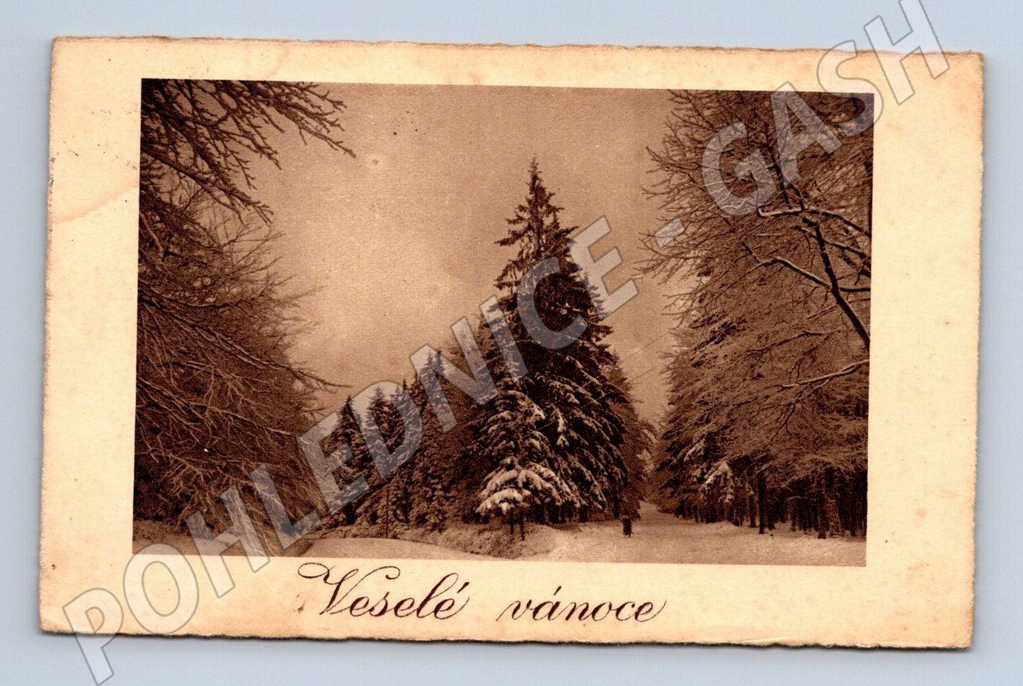Pohlednice Vánoce zasněžený les 195? (M25621)