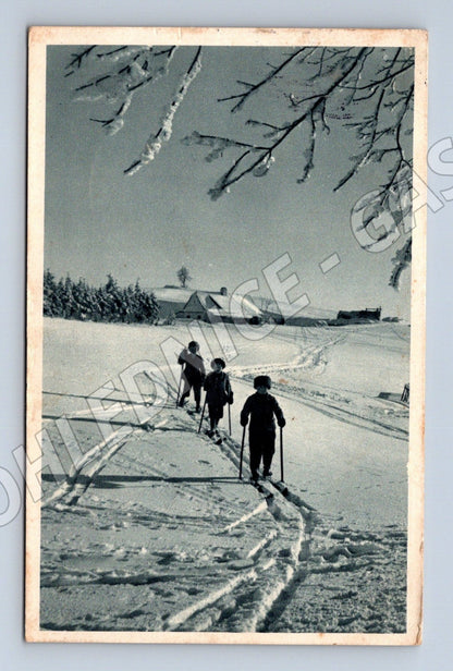 Pohlednice Československo zimní scéna lyžaři (M25624)