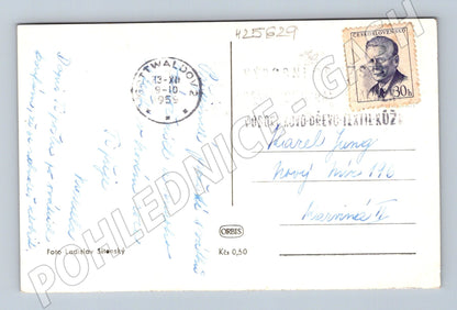 Pohlednice zimní krajina Radostné vánoce 1959 (M25629)