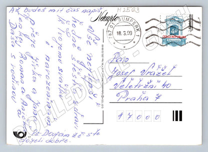 Greeting card with flowers (M2563)