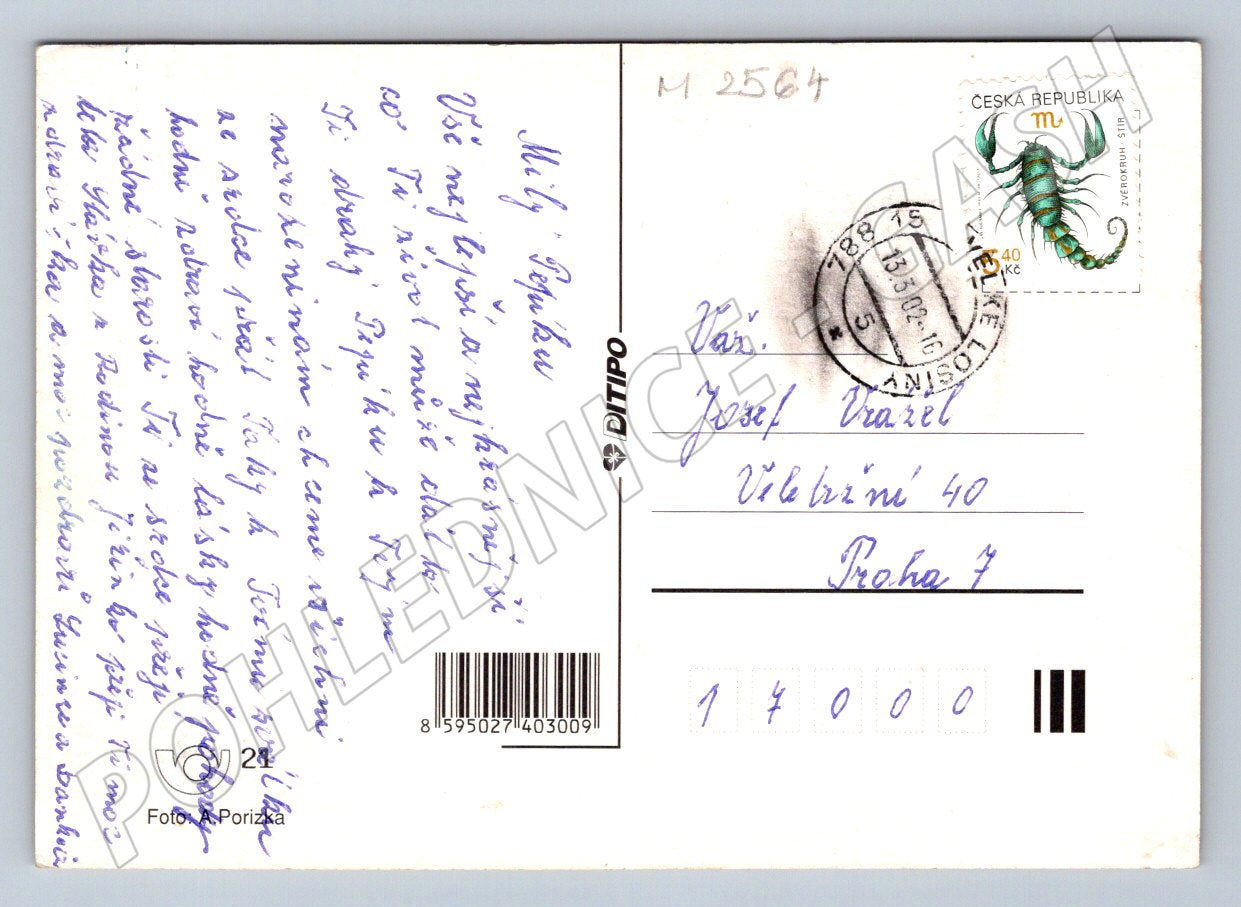 Yellow rose greeting card (M2564)