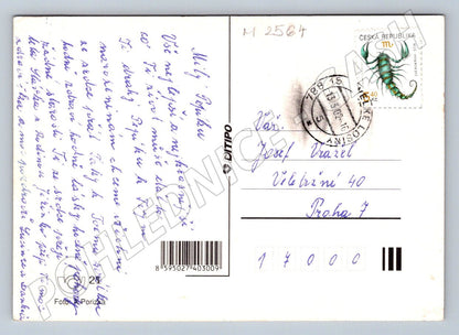 Yellow rose greeting card (M2564)