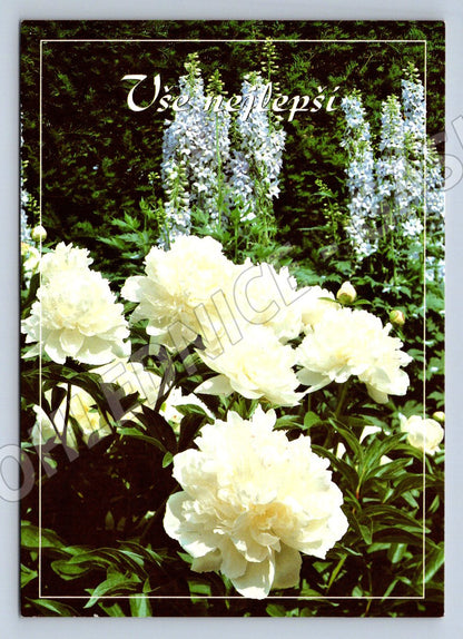 Postcard flowers With best wishes (M2566)