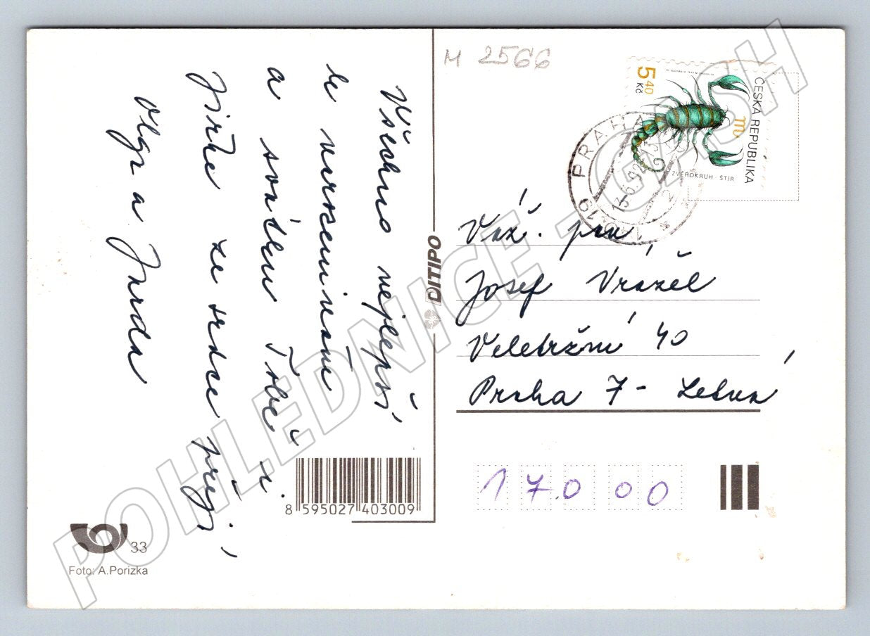 Postcard flowers With best wishes (M2566)