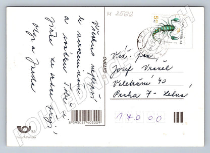 Postcard flowers With best wishes (M2566)