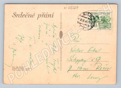 Vintage greeting card bouquet (M2568)