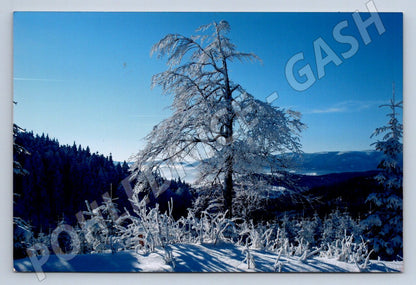 Postcard winter landscape large format (M2569)