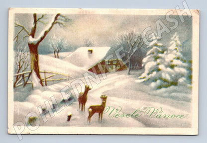 Pohlednice zimní krajina jeleni 1948 (M25690)