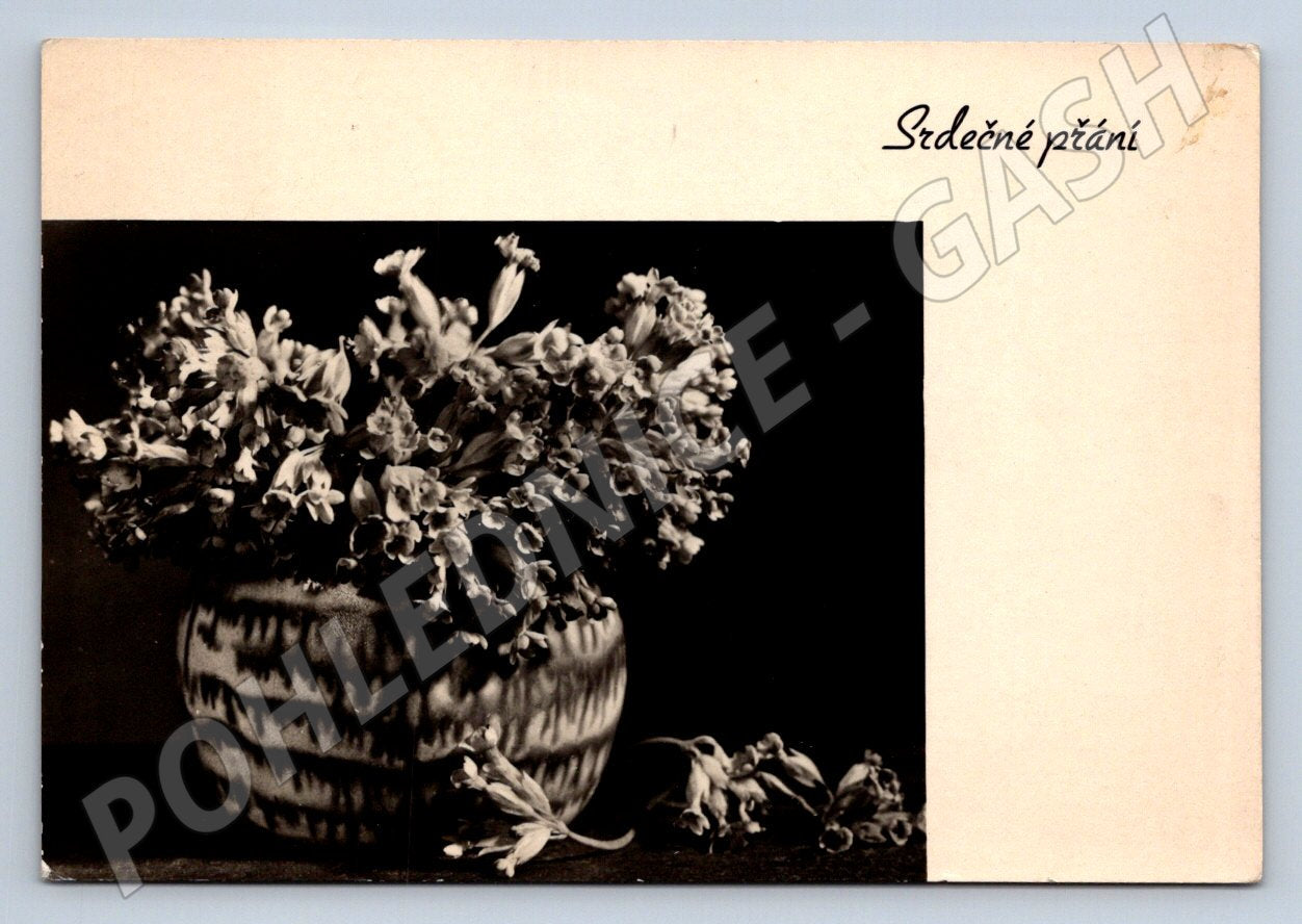 Postcard flowers Heartfelt wishes (M2570)