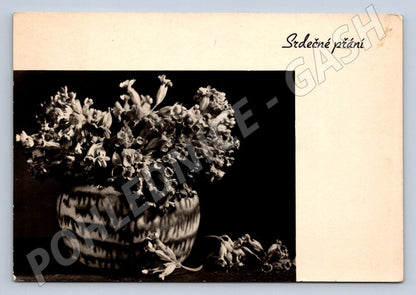 Postcard flowers Heartfelt wishes (M2570)