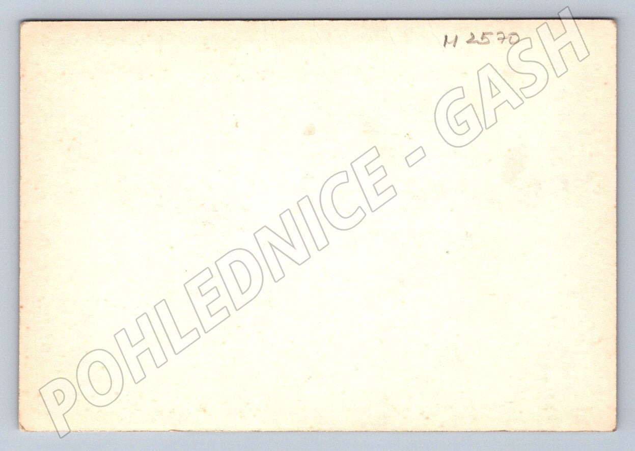 Postcard flowers Heartfelt wishes (M2570)