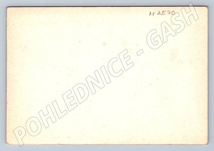 Postcard flowers Heartfelt wishes (M2570)