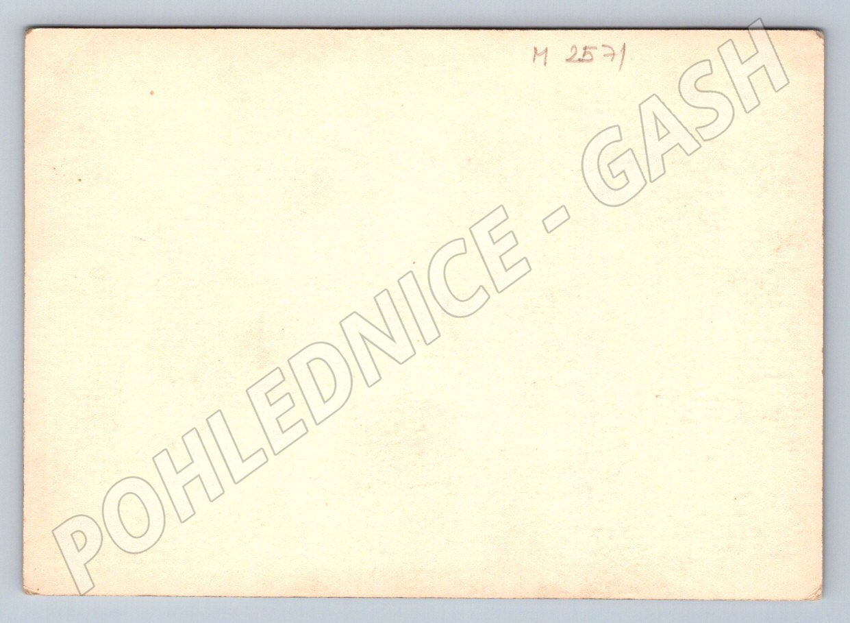 Postcard flowers Holiday greetings (M2571)