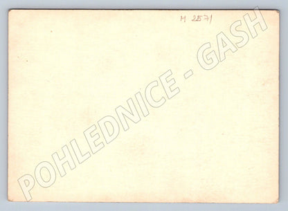 Postcard flowers Holiday greetings (M2571)