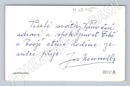 Pohlednice Itálie Santa Claus v letadle Veselé Vánoce (M25715)