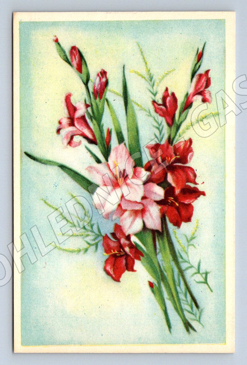 Hand-painted gladiolus postcard (M2572)