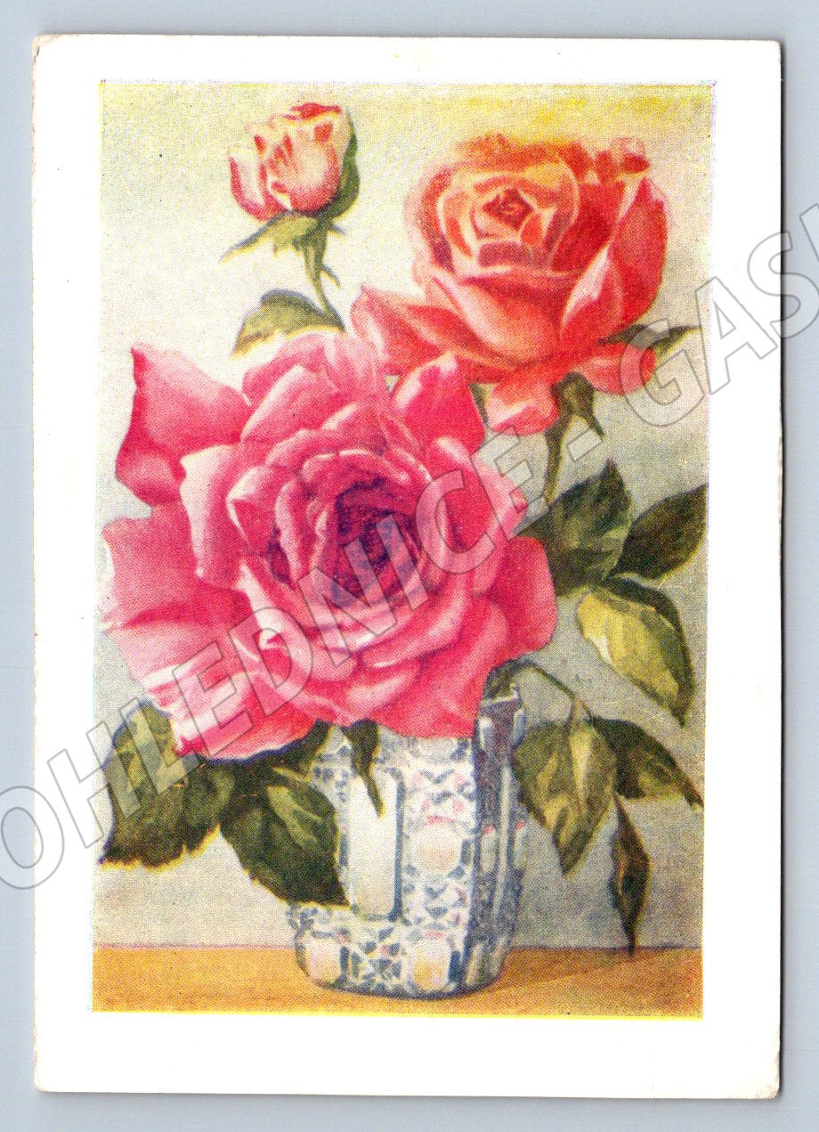 Postcard S. Mochalov rose (M2573)