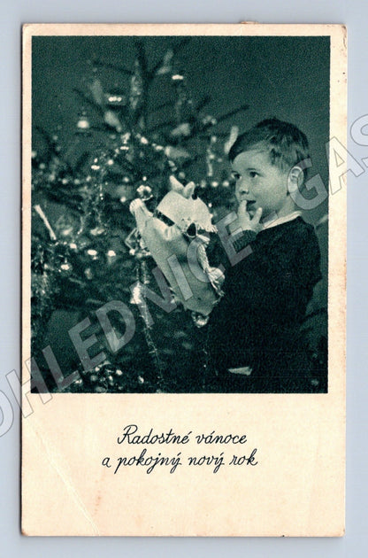 Pohlednice Slovensko chlapec u vánočního stromku 1950 (M25737)