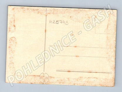 Pohlednice zasněžené stromy zimní krajina (M25743)