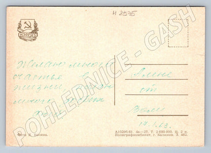 Postcard rose Soviet ethnography (M2575)