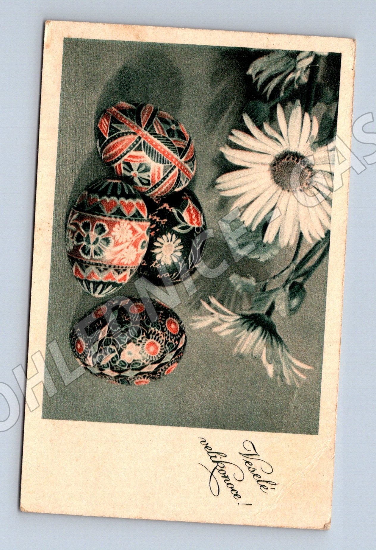 Pohlednice Velikonoční vajíčka sedmikrásky 1949 (M25763)
