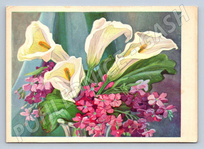 Postcard garden flowers calla lilies pink (M2577)