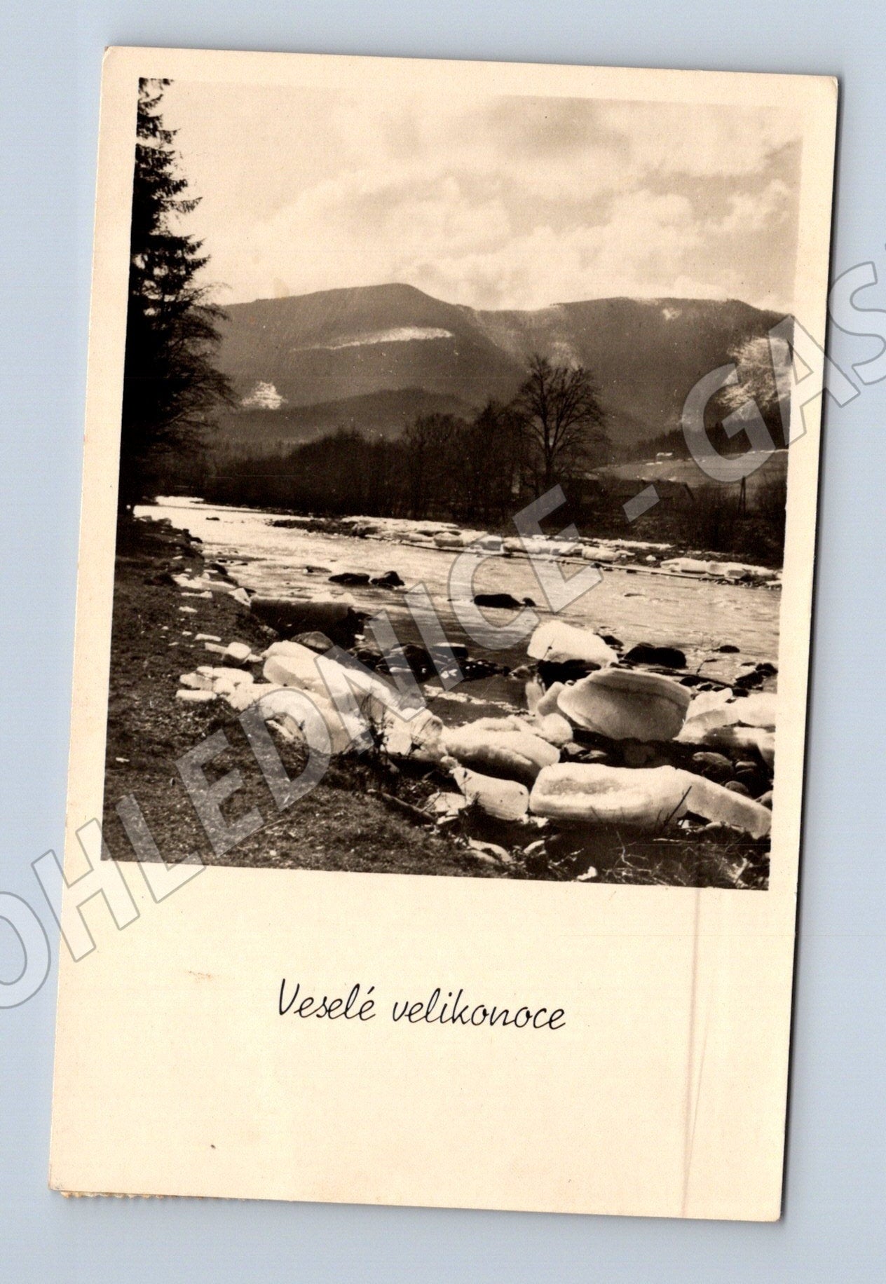 Pohlednice velikonoční 1958 (M25772)