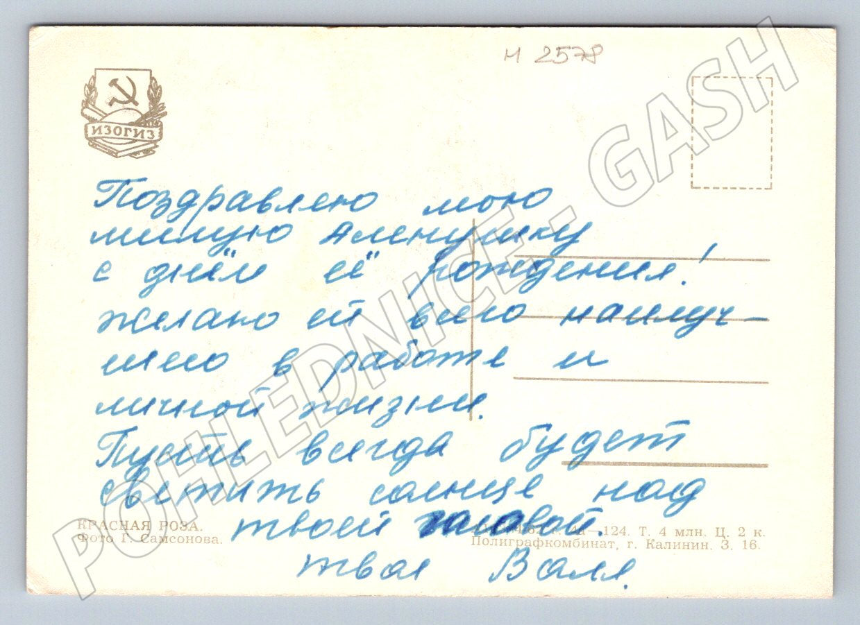 Postcard red rose hand writing (M2578)